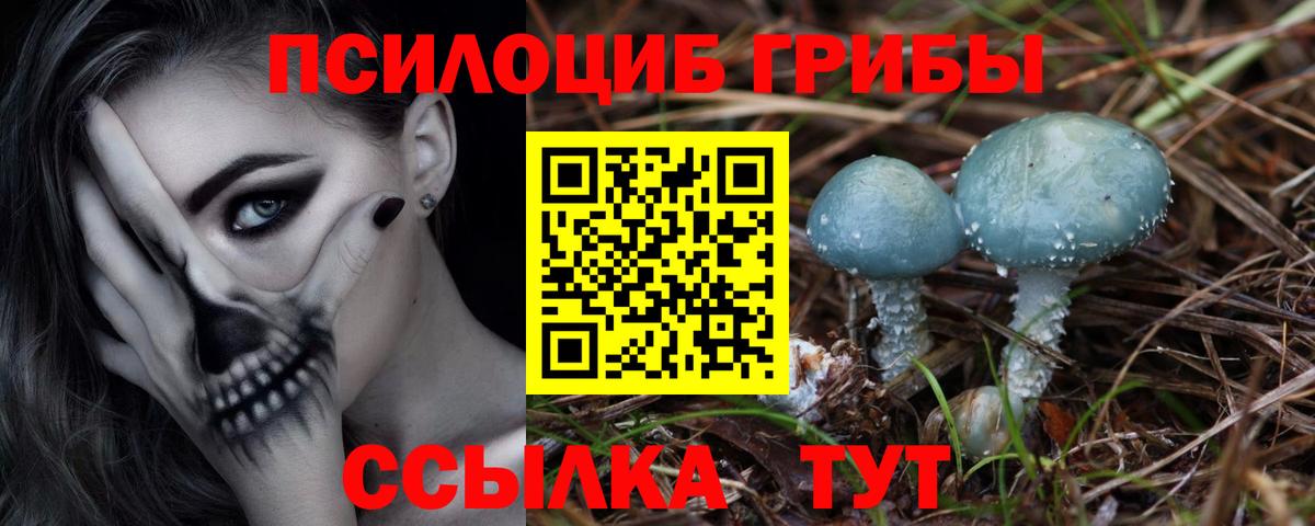 купить наркотики сайты  Вход с VPN  Назрань  Псилоцибиновые грибы Cubensis  Галлюциногенные грибы мухоморы 